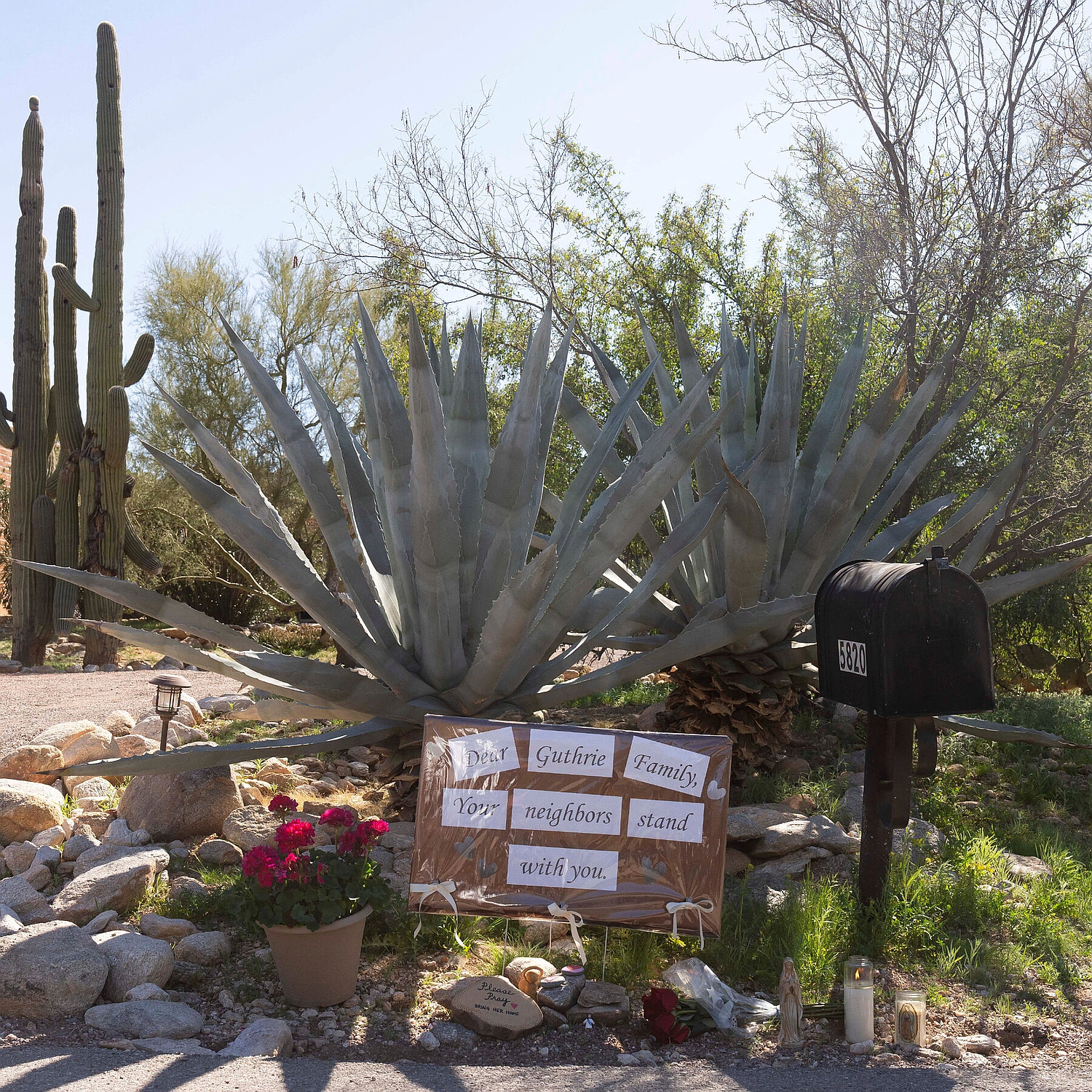 Savannah Guthrie Pleads for Help as Missing Mom Case Heats Up