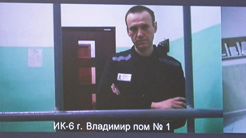 Five European Nations Claim Navalny Poisoned with Frog Toxin, Kremlin Blamed