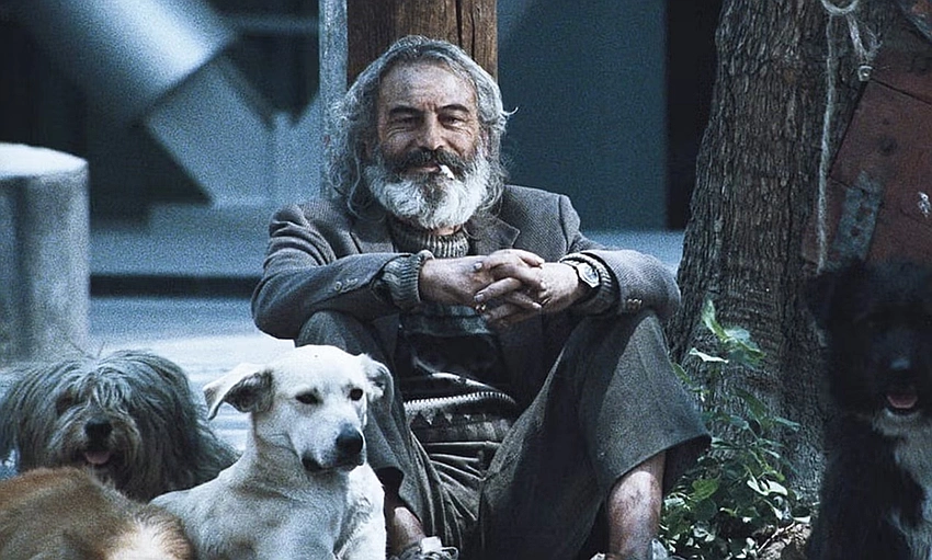 This Mexican Movie Crashes Your Heart and Leaves It Bleeding: Amores Perros Is Pure Pain and You Wil