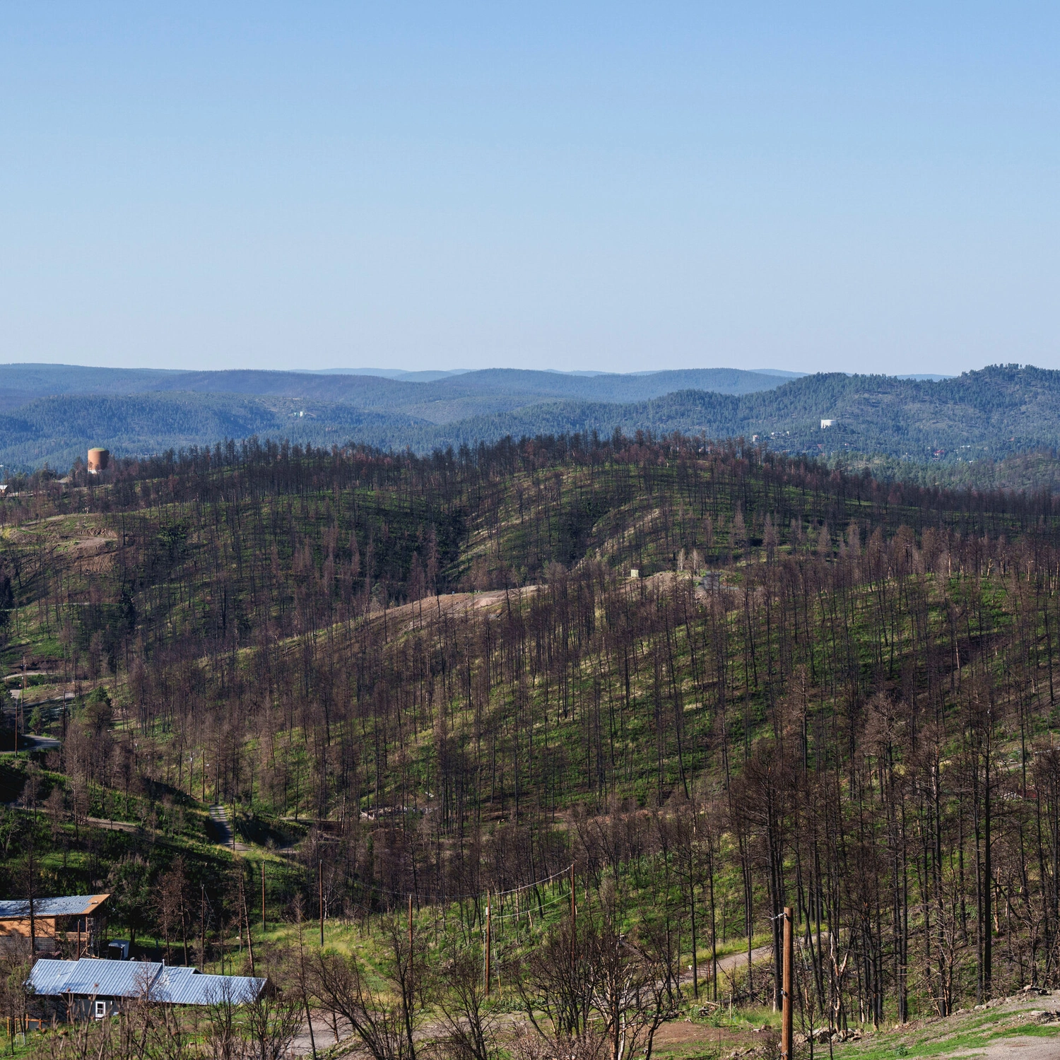Small medical plane crash near Ruidoso leaves four dead