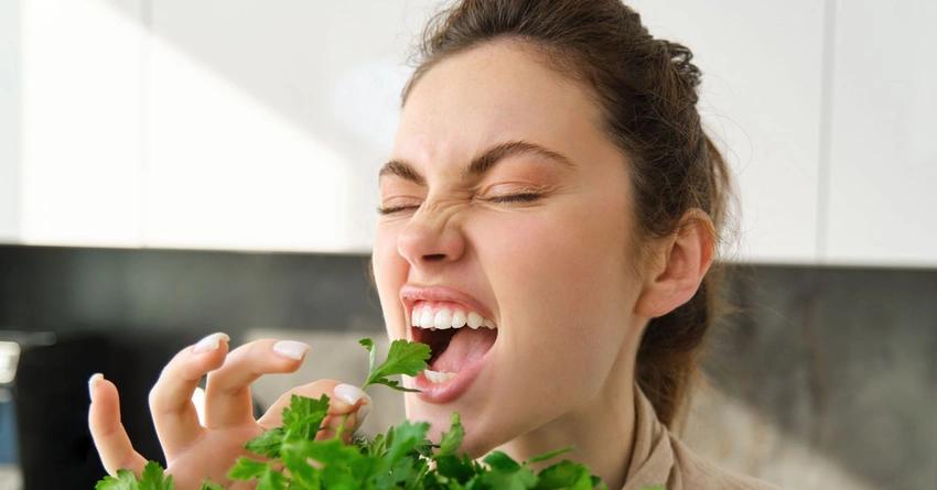 Why Your Mouth Thinks Mint Is Freezing Even When It Is Not