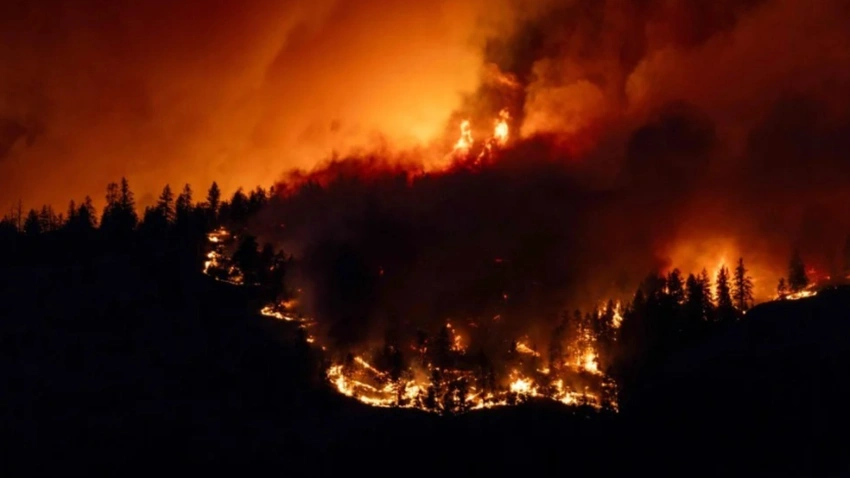 BC Wildfire Crisis! 🚨 Tens of thousands flee as Bald Range blaze explodes!