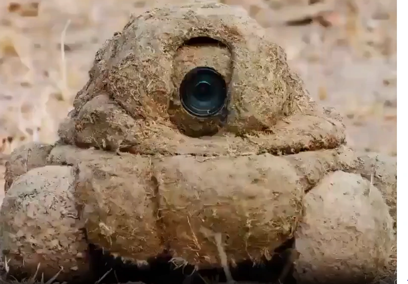 This Rolling Wildlife Spy Camera Looks Like Dung, and Animals Fall For It