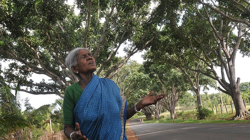 Tributes pour in as 114-year-old environmentalist Saalumarada Thimmakka dies in Bengaluru