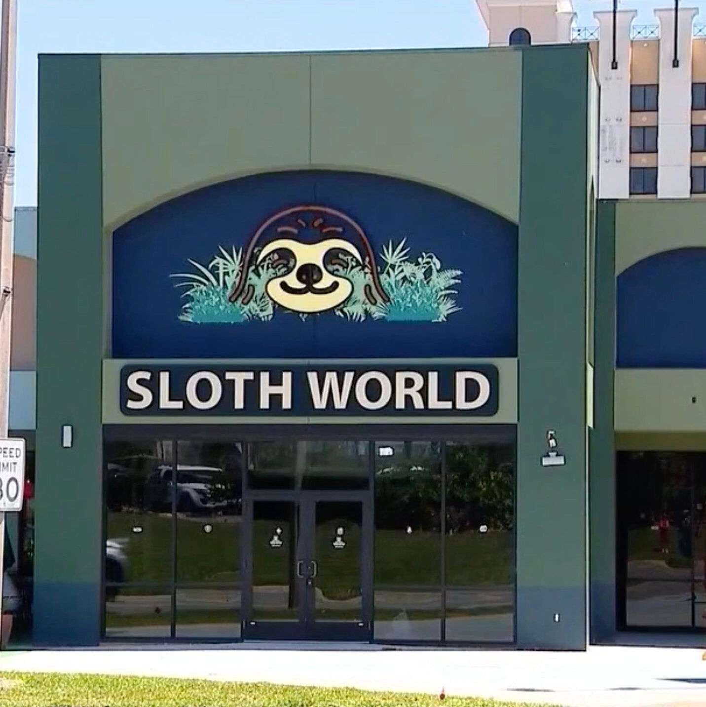 Dozens of Sloths Die Before Sloth World Opens in Orlando
