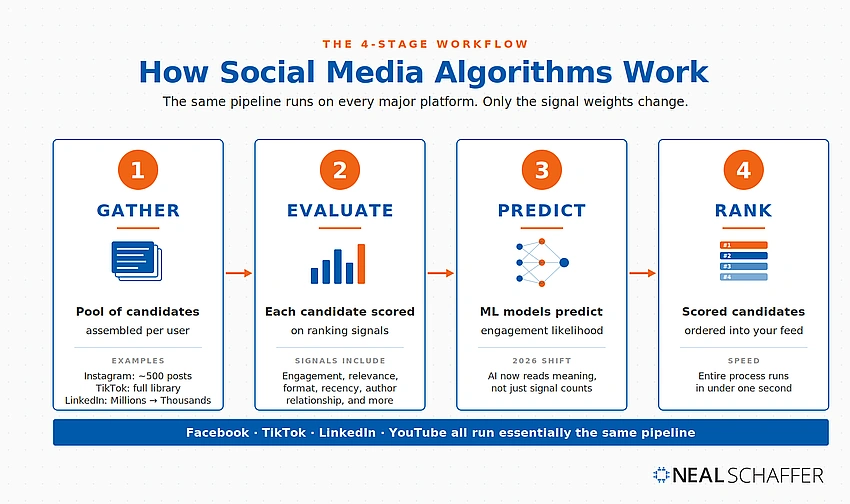 social media algorithm brainwashing data flow