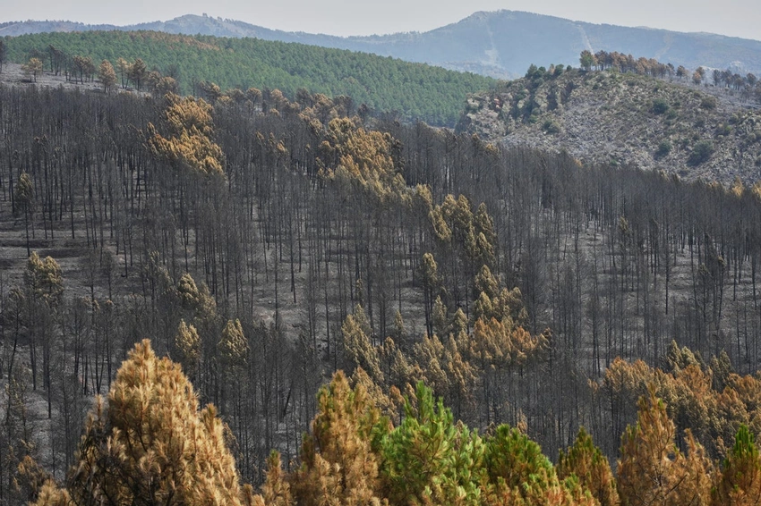 Southern Europe Melts: Spain Braces for 44C Heat, Wildfires Rage!