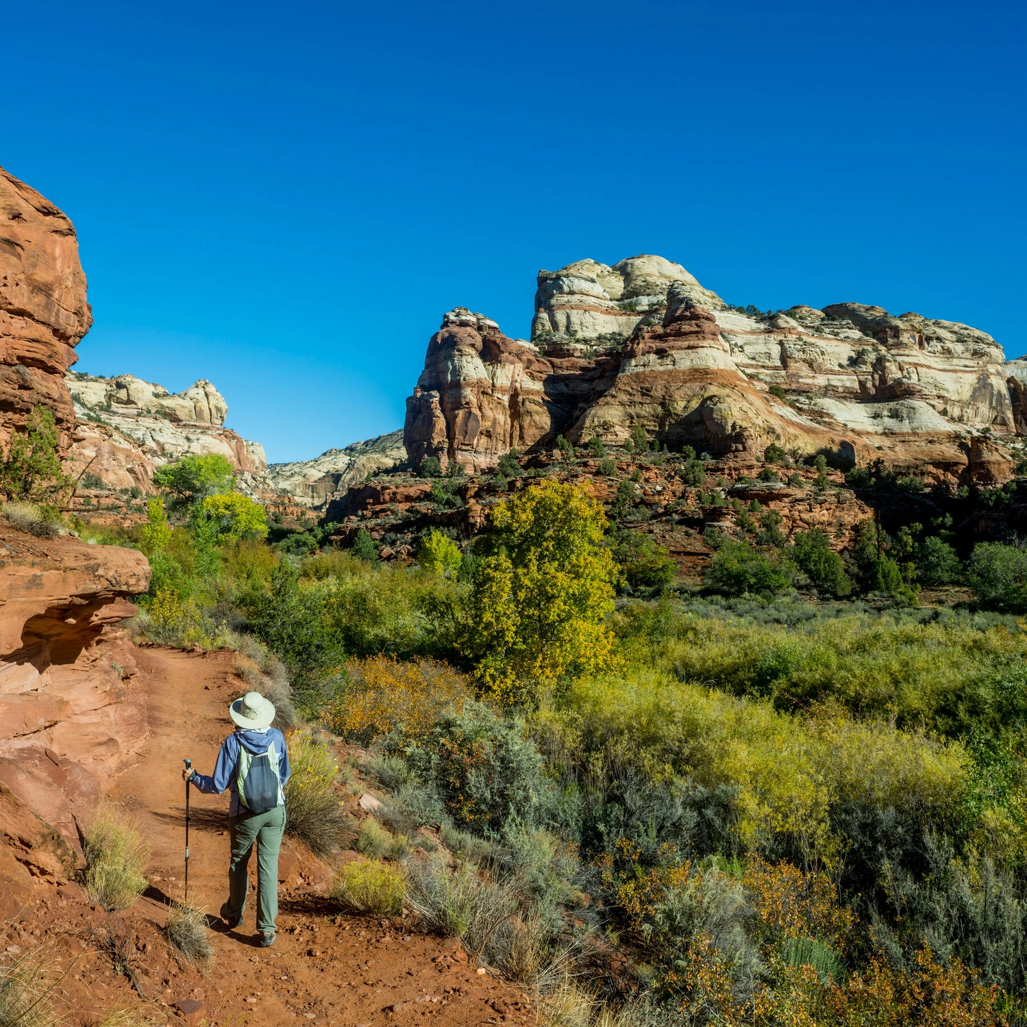 Trump to Shrink Utah Monuments Again! 🏞️ What's Next for Protected Lands?