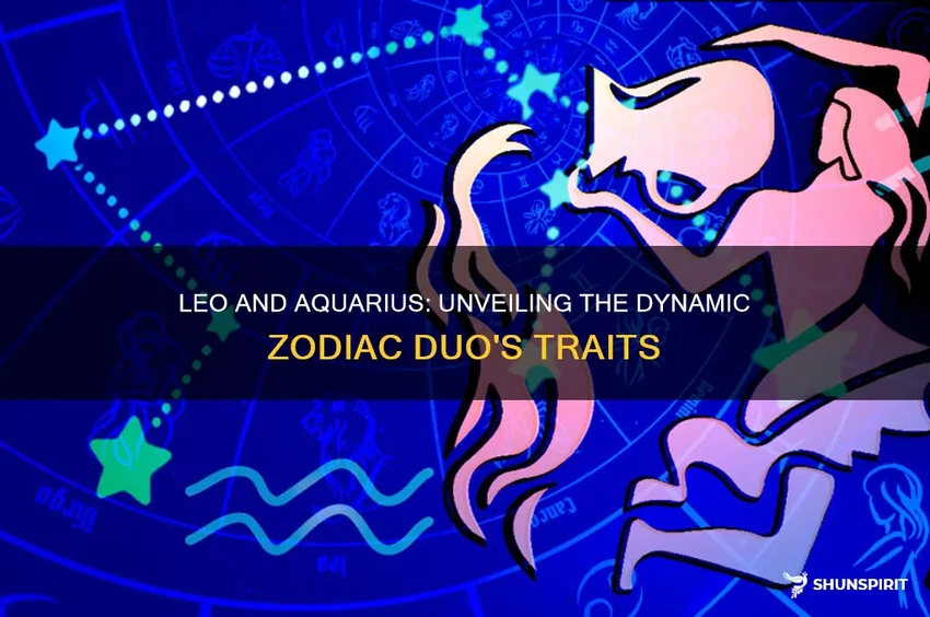Leo and Aquarius contrasting personalities, electric sparks, zodiac clash