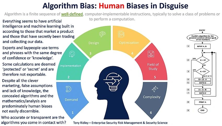 Fighting Phantoms: How Activists Battle Invisible AI Bias