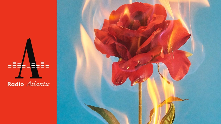 Is Romance Dead, or Just Evolving? Gen Z's Love Revolution