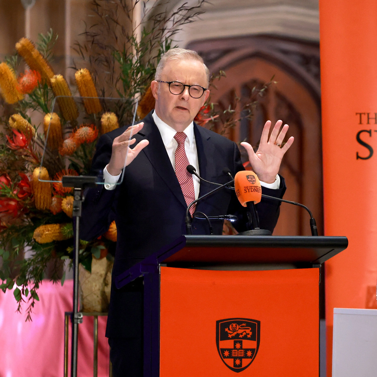Albanese Unveils Ambitious AI Plan: Tackling Tech Giants & Data Center Challenges