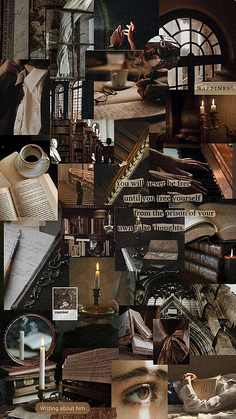 Dark academia aesthetic discussion
Cover image search term: Gothic novel cover art intense emotions