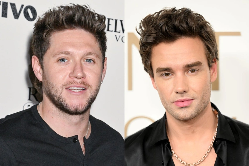 Niall Horan Opens Up About Final Happy Memory With Liam Payne