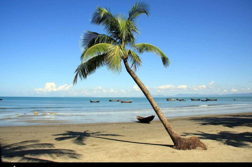 Travel Giants Banned: 'Eco' Claims Under Fire by Advertising Watchdog!