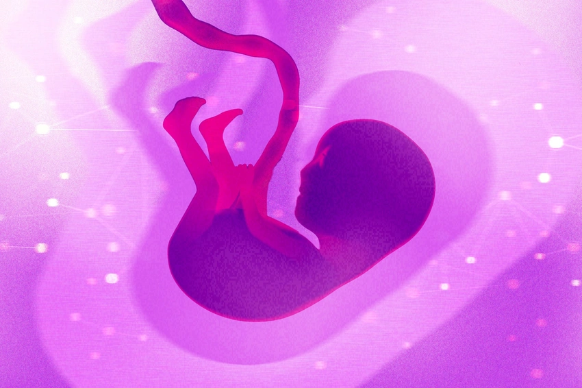 Gene-Editing Human Embryos: Moral Imperative or Risky Frontier?