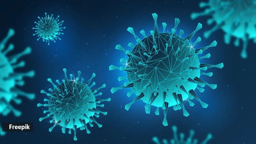 Rare Ebola Strain Sparks Global Alarm: Why Experts Are On High Alert