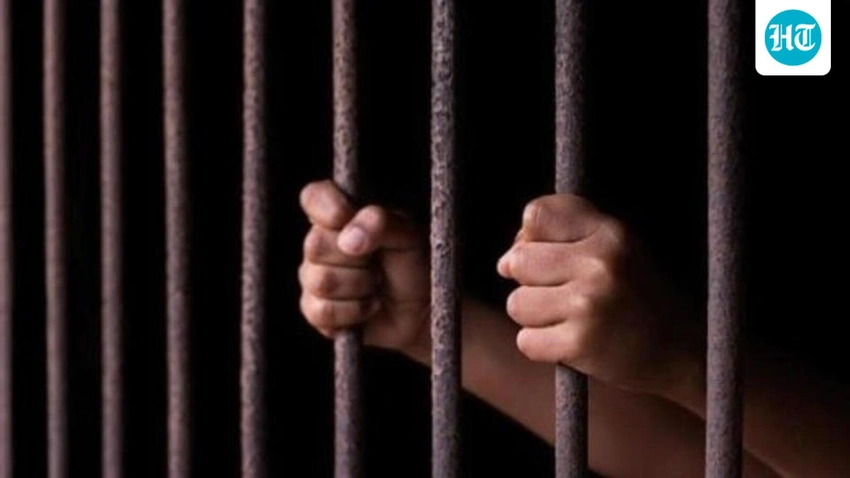 Assam Eviction Fallout: High Court Demands Answers on Rehab