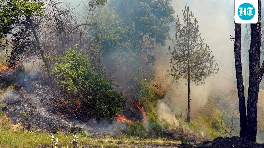 IAF Chinooks Battle Massive Kasauli Forest Fire Using Sukhna Lake Water