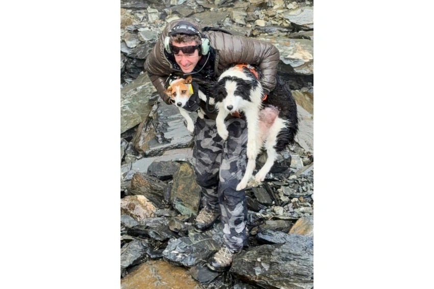 Molly the Border Collie Rescued by Helicopter After NZ Backcountry Fall