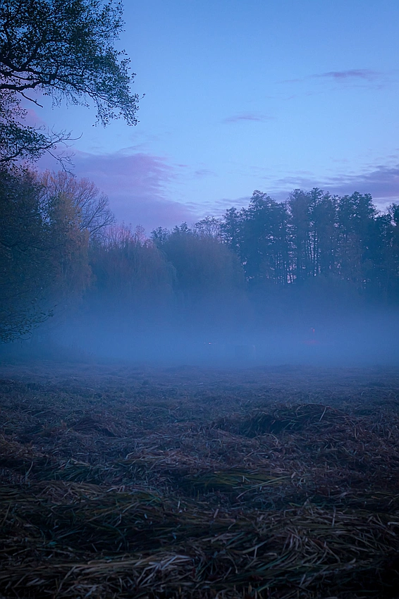 book club discussion debate
Cover image search term: Pexels photo of atmospheric marsh at sunset