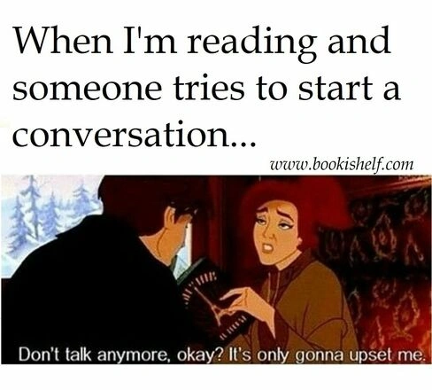 'book lover meme reading obsession, unhinged book collector'