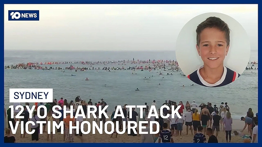 Sydney Harbour Shark Attack Claims Life of 12-Year-Old Nico Antic