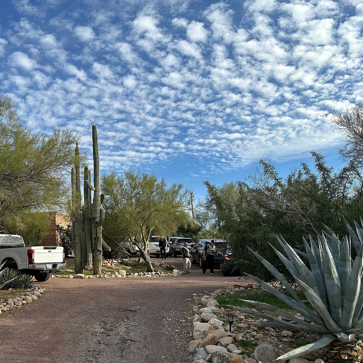 Nancy Guthrie Disappearance Grips Tucson and Nation