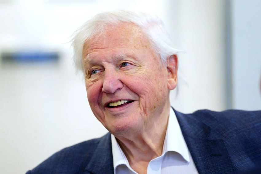 Attenborough at 100: would rather be at home than a party, says colleague