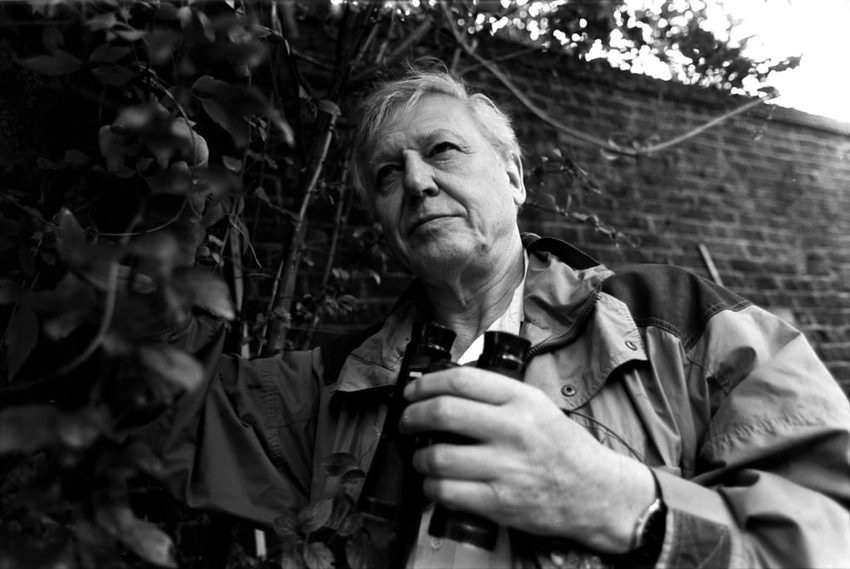 Attenborough at 100: beauty, legacy, and a reckoning on colonial echoes