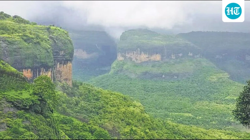 Karnataka Rejects Key Western Ghats Report: What's Next?