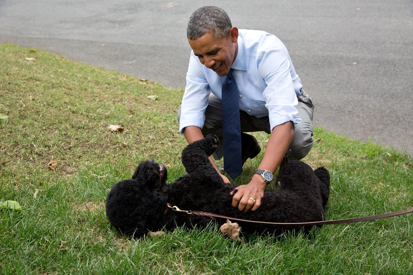 Obama Family Mourns Loss of Beloved Dog Sunny 🐾