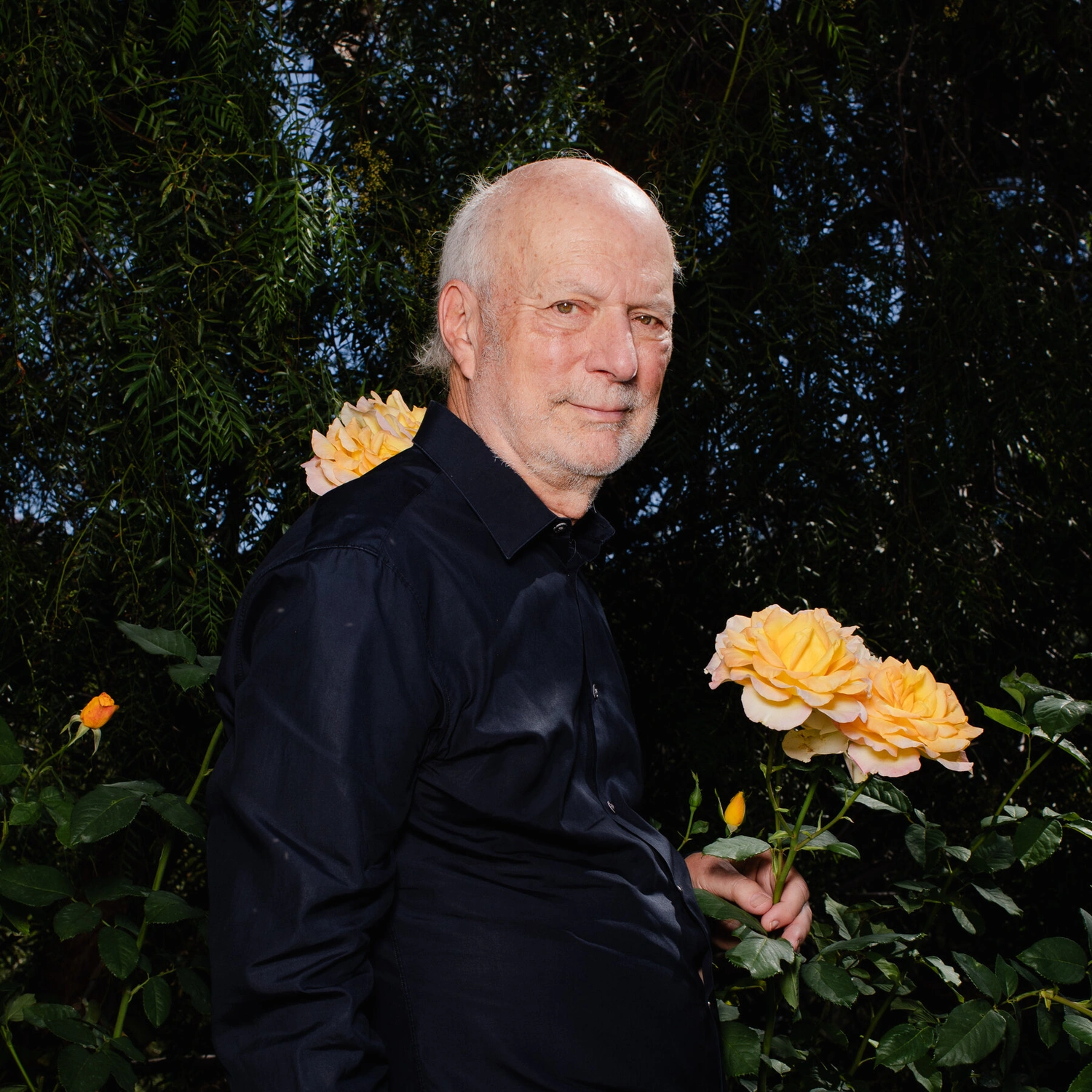 TV Legend James Burrows, Co-Creator of "Cheers," Dies at 85