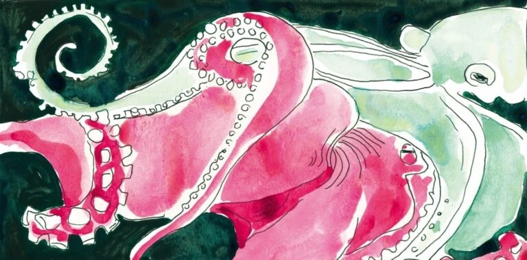 Deep-Sea Squids Are Redefining Sex: What Wild Animal Love Teaches Us About Nature
