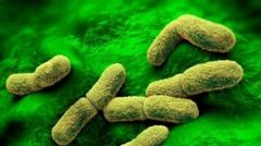 US Offers Help, Watches Closely After Suspected Plague Death in Russia