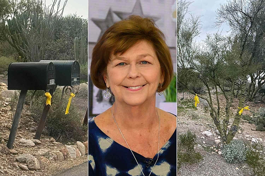 Captor Targeted Nancy Guthrie, Sheriff Says as Search Persists