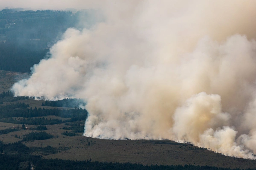 Belgium Battles Historic Wildfire: Hundreds Evacuated Near German Border