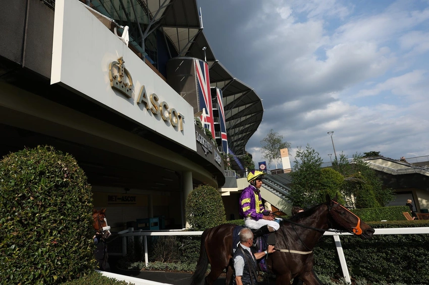 Royal Ascot 2026: Bet £10, Get £40 Free Bets with Tote! 🏇💰