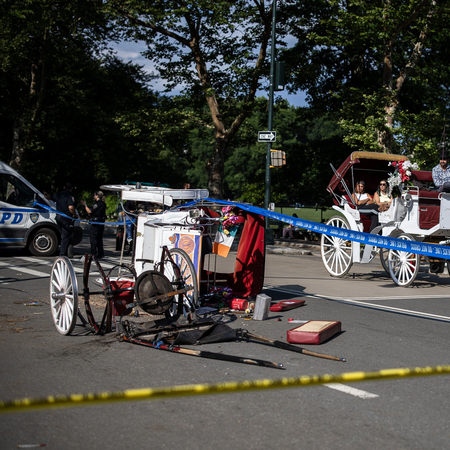 Teen Dies in Central Park Horse Carriage Tragedy, Sparks Ban Debate