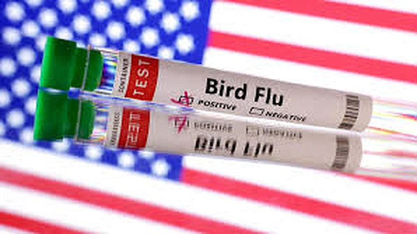US Reports First Human H5N5 Bird Flu Case, Officials Say