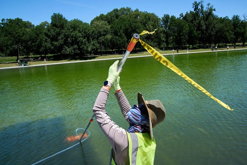 Green Algae Invades Trump's $14M Reflecting Pool Renovation!