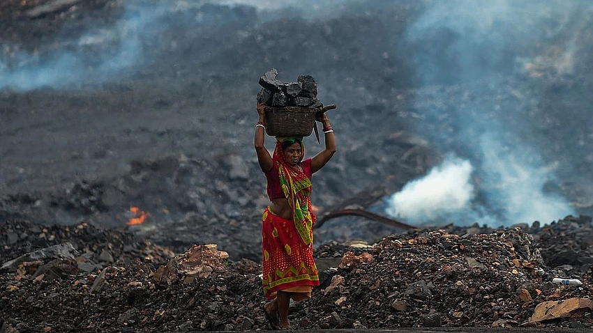 SC Orders Jharkhand to Declare Saranda Sanctuary, Bans Mining Nearby