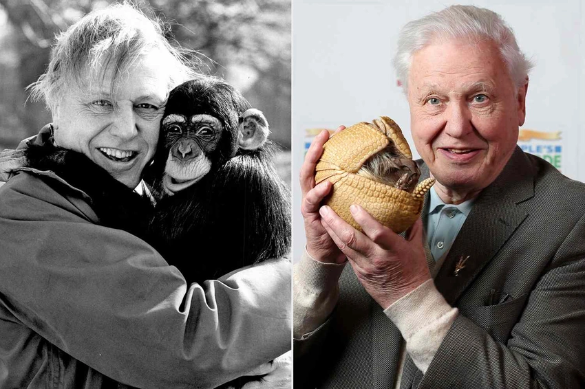 David Attenborough at 100: A Lifetime of Groundbreaking Nature TV