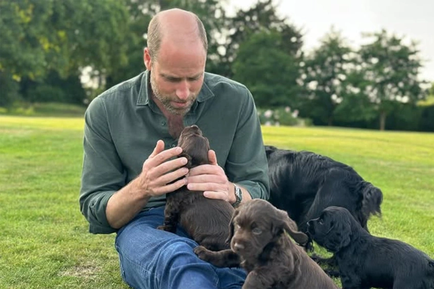 Royal couple reveal name of new dog Otto on his first birthday