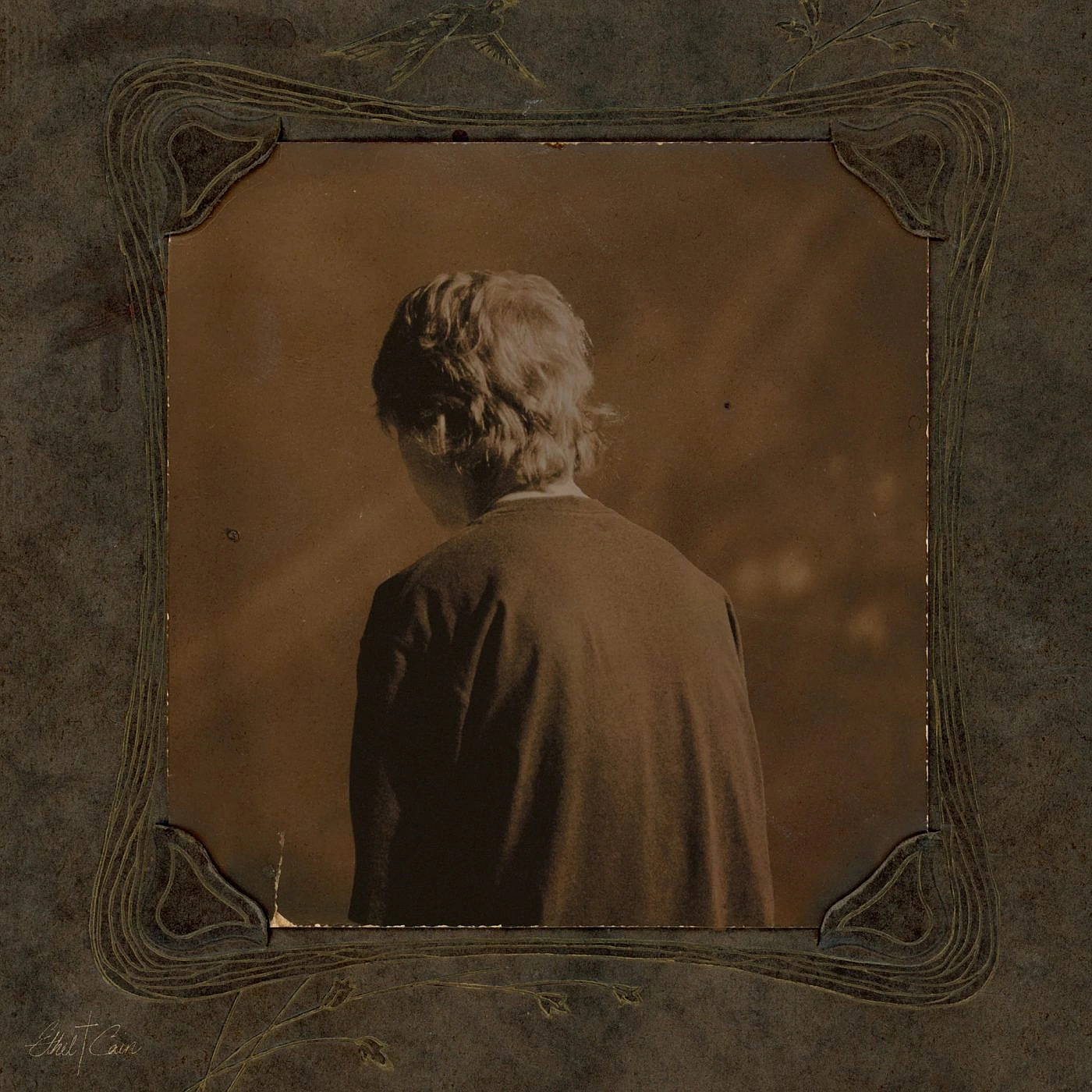 Willoughby Tucker... by Ethel Cain: Desire, Longing, Memory