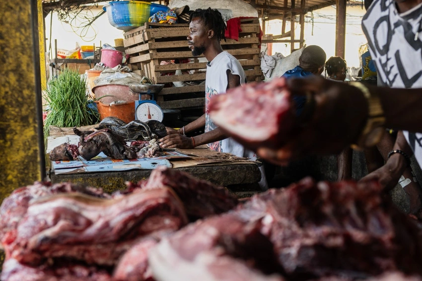 Ebola Crisis in Congo: Experts Warn of 'Wild Meat' Link Amid New Outbreak
