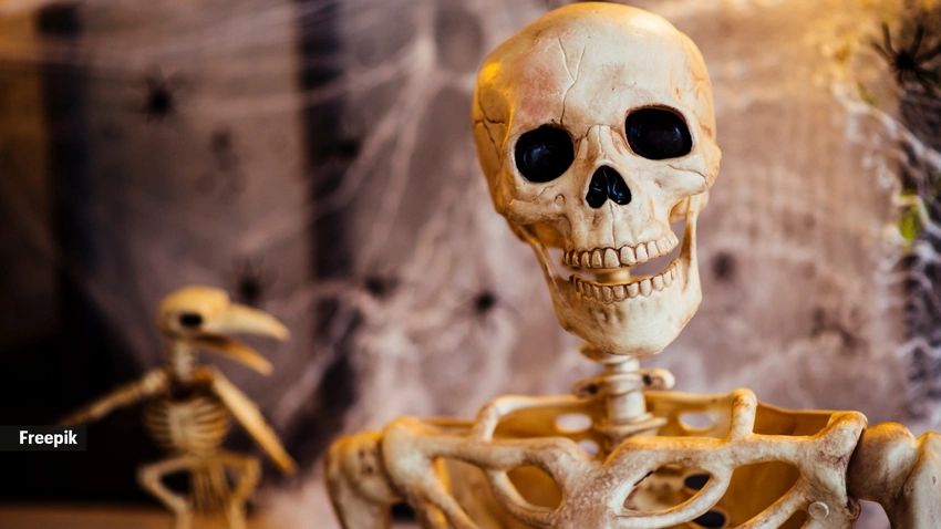 Your Skeleton Is Not a Rock: The Soggy Reality of Being Human