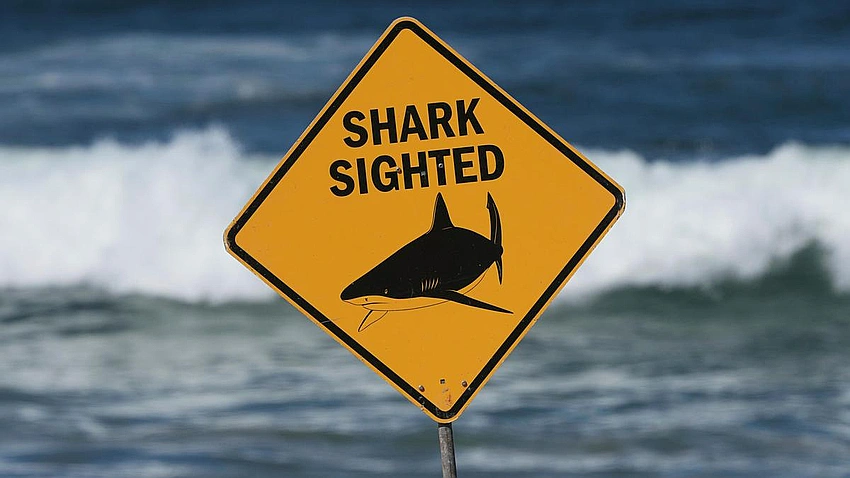 Woman Killed, Man Injured in Shark Attack at Crowdy Bay Beach
