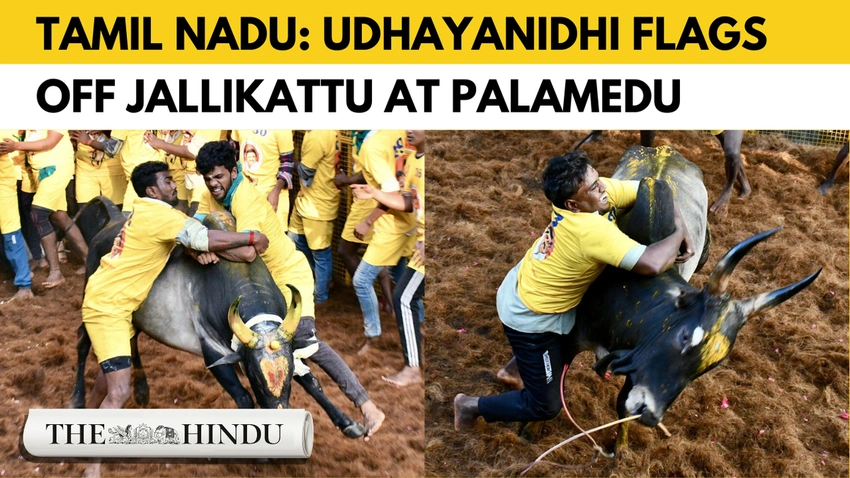 Tamil Nadu Jallikattu Kicks Off 2026 Season Across Villages