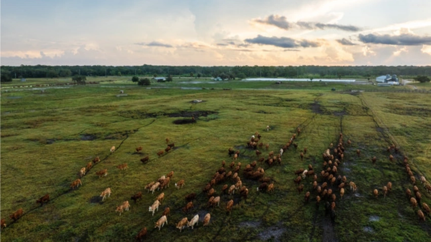 Florida Secures Over 1,500 Acres of Ranchland for Conservation 🌴